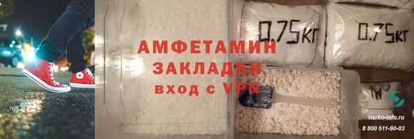 шишки Балахна