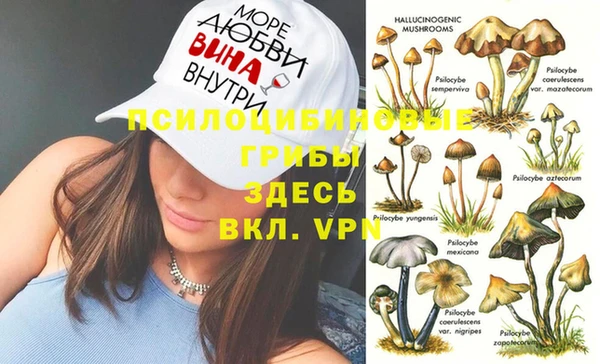 дмт Балабаново