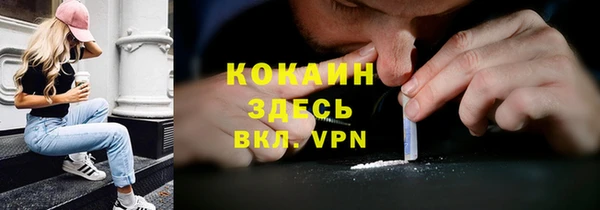 трава Няндома