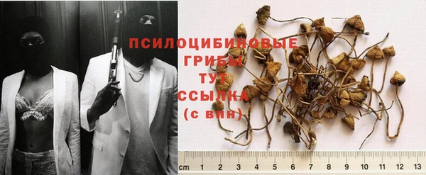 jwh Баксан