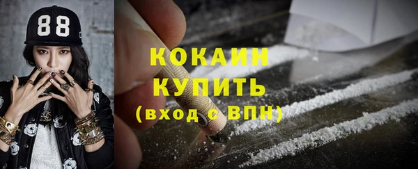 шишки Балахна
