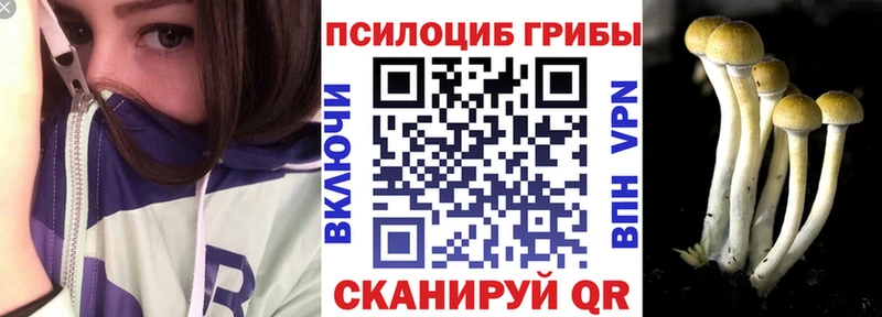 где продают   Балтийск  Галлюциногенные грибы мицелий 
